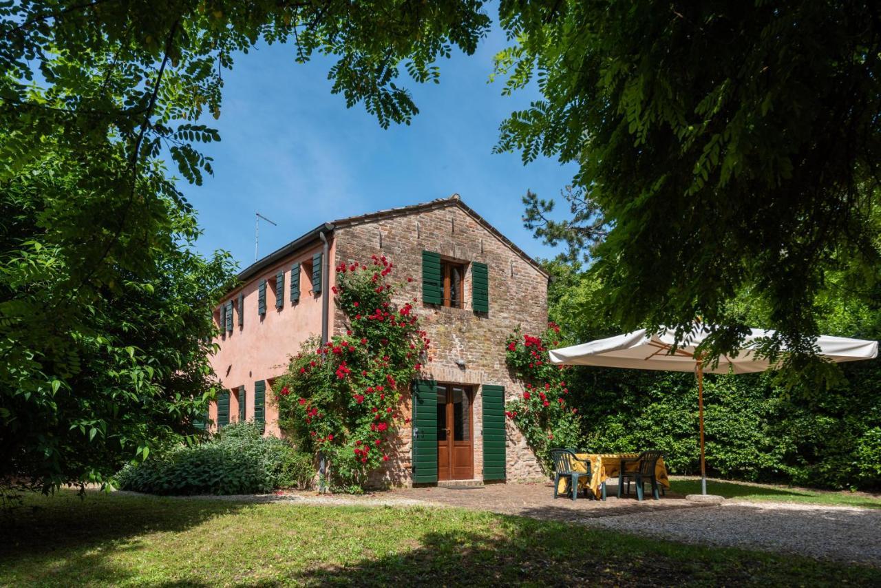 Pernumia Country House Pisani 120Sqm المظهر الخارجي الصورة