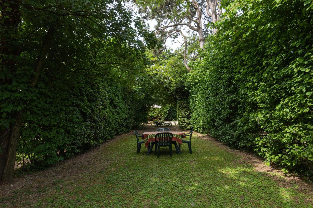 Pernumia Country House Pisani 120Sqm المظهر الخارجي الصورة